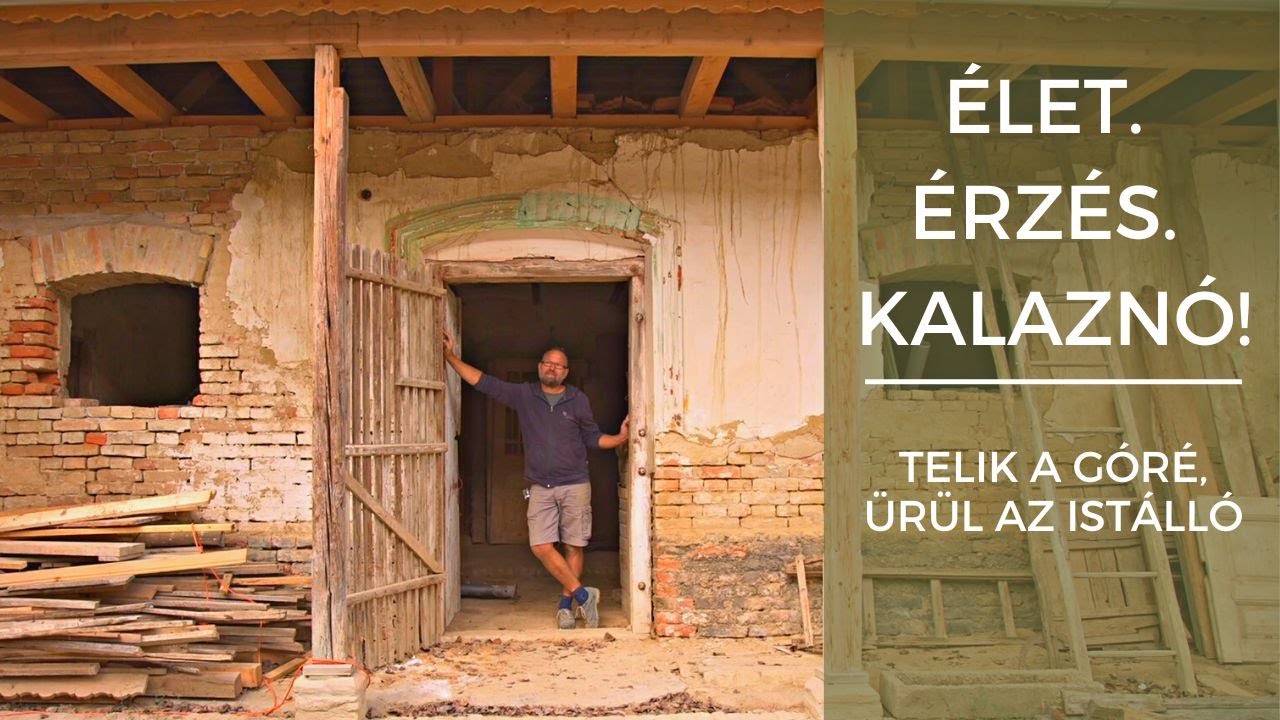 Telik a góré, ürül az istálló - Élet. Érzés. Kalaznó!