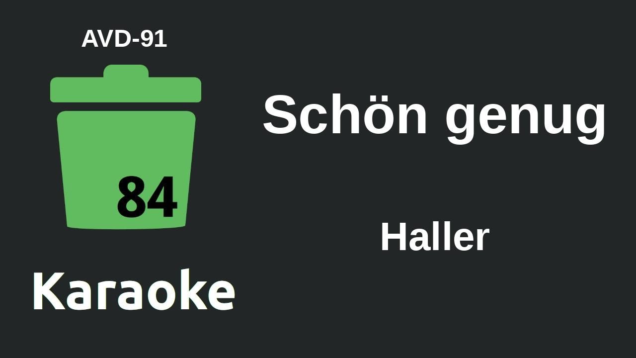 Haller - Sch&ouml;n genug (Karaoke) [AVD-91]