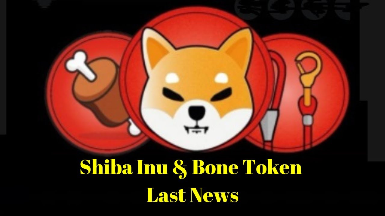 Last Shiba Inu and Bone Token News
