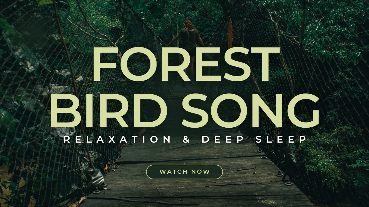 Forest Birdsong | Relaxing Nature Sounds | Birds Chirping for Sleeping #sleepmusic