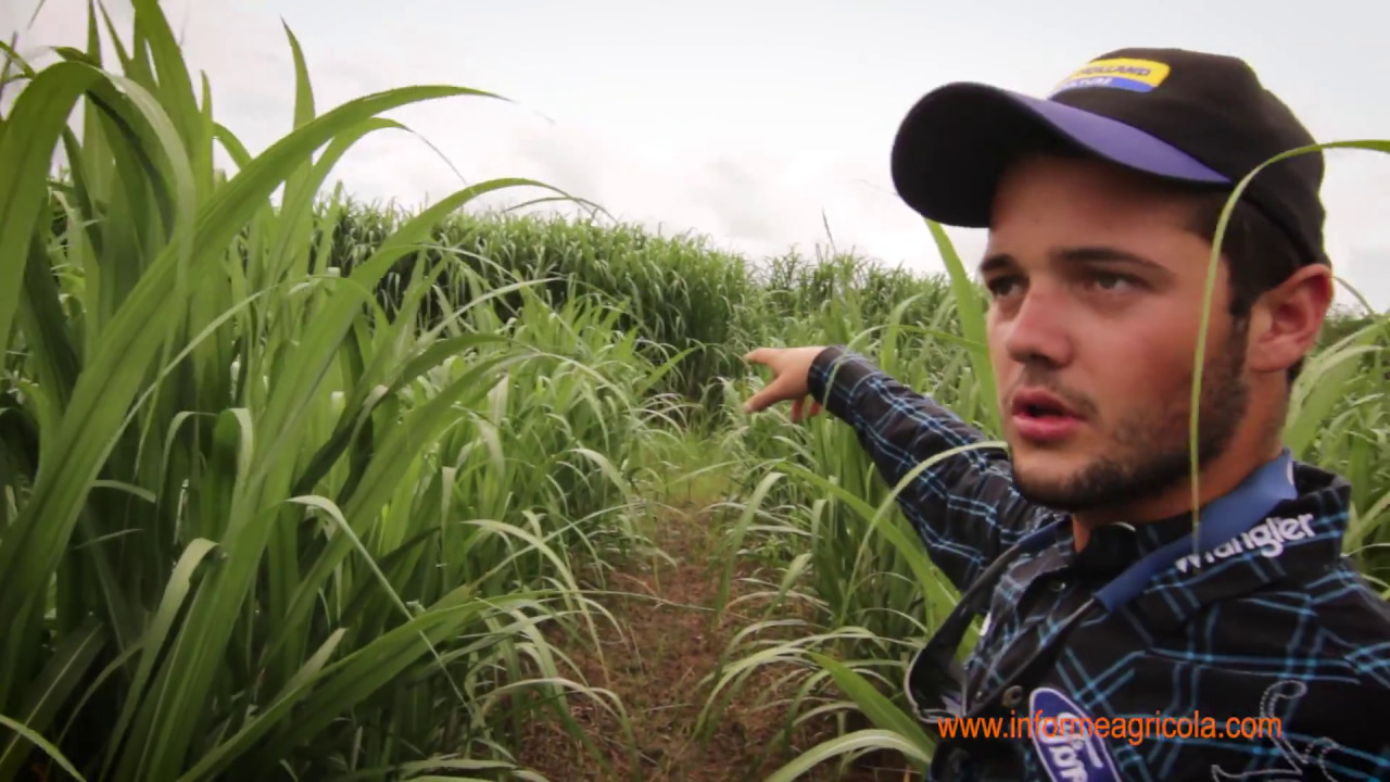 Joven Agroempresario - MRT & Toro Farm en Cabo Rojo