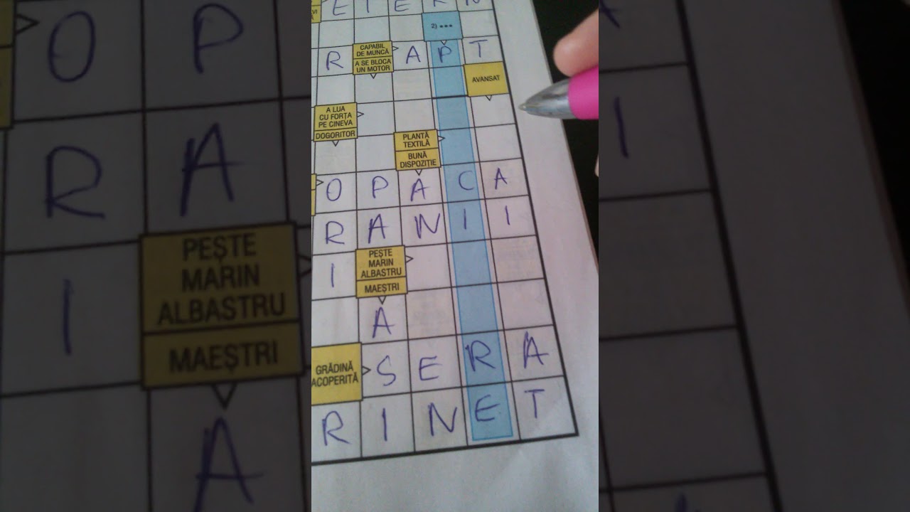 REBUSUL DE NIVEL MEDIU!