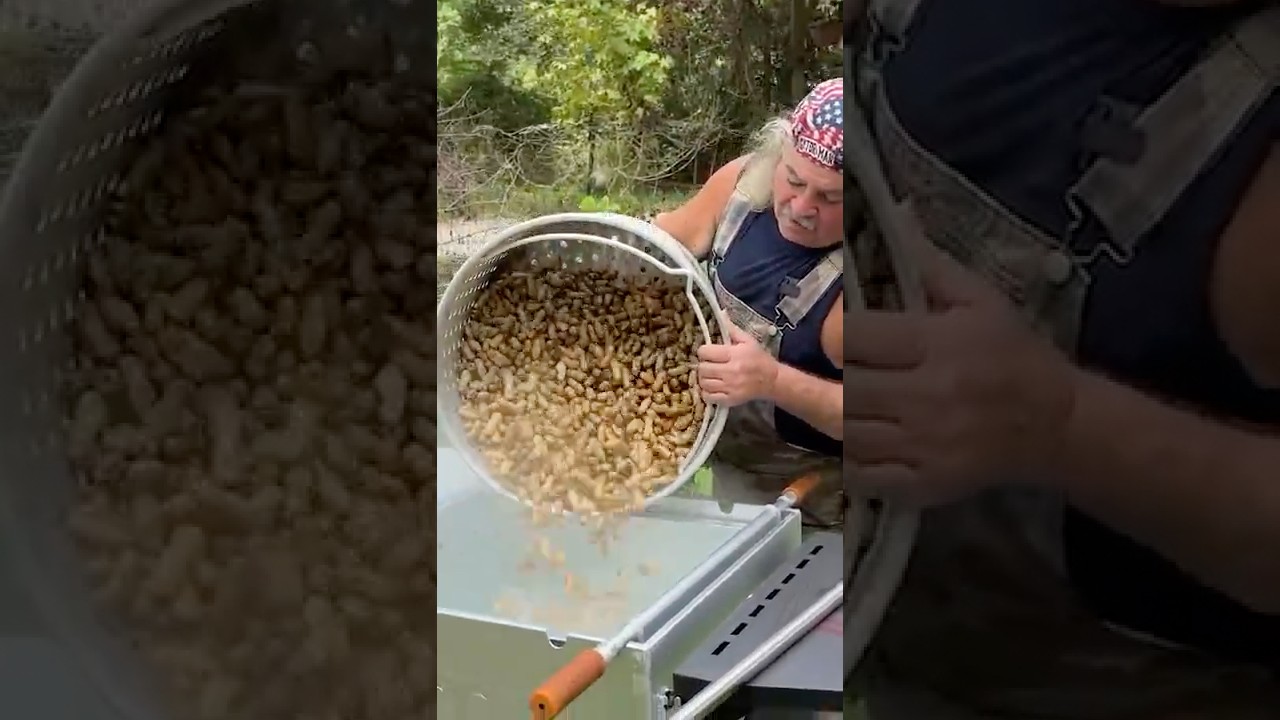 Boiled PEANUTS!