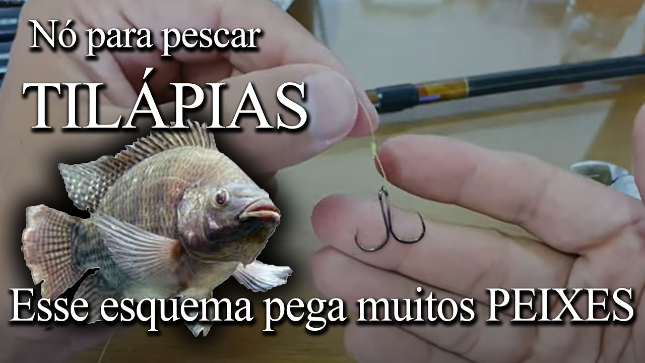 Chicotinho para pescarias de tilápias - Nó do Chifrinho