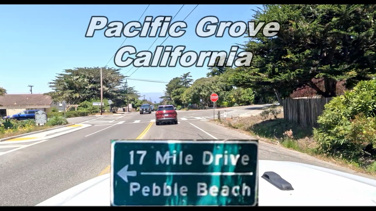 17 Mile Drive Tour on the California Coast