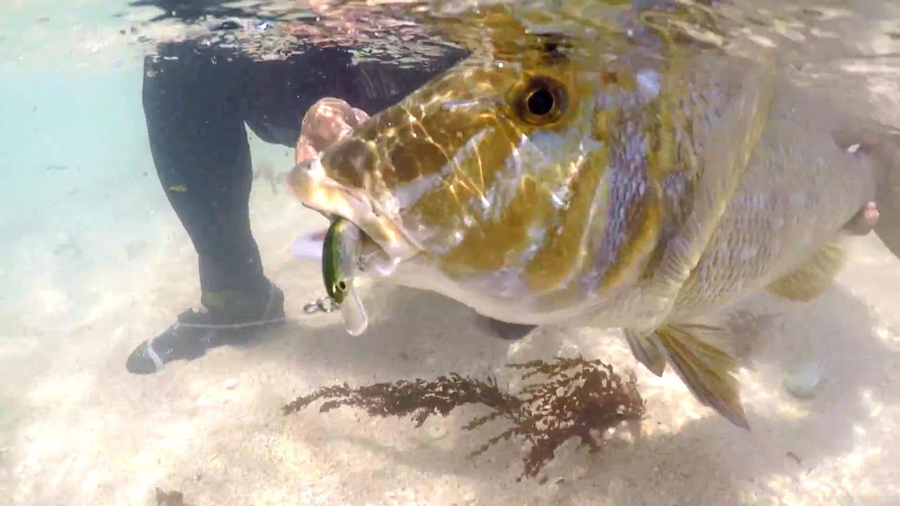 【永久保存版】巨大タマンをルアーで釣る方法【#3】【沖縄ルアーフィッシング】