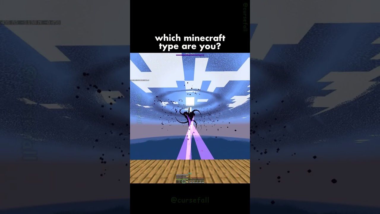 What Type Of Minecraft Player Are YOU? 🧐