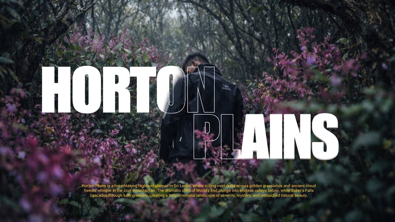 සුන්දර හෝර්ටන් තැන්න සංචාරය ☘️ | |Horton Plains 🌿🎥 A cinematic journey into the heart of nature.