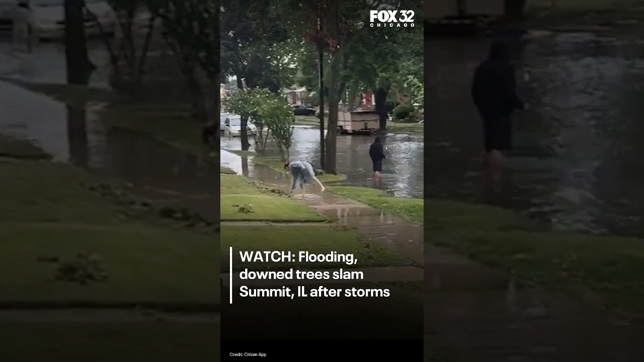 Storm video shows flooding, downed trees in southwest suburban Summit