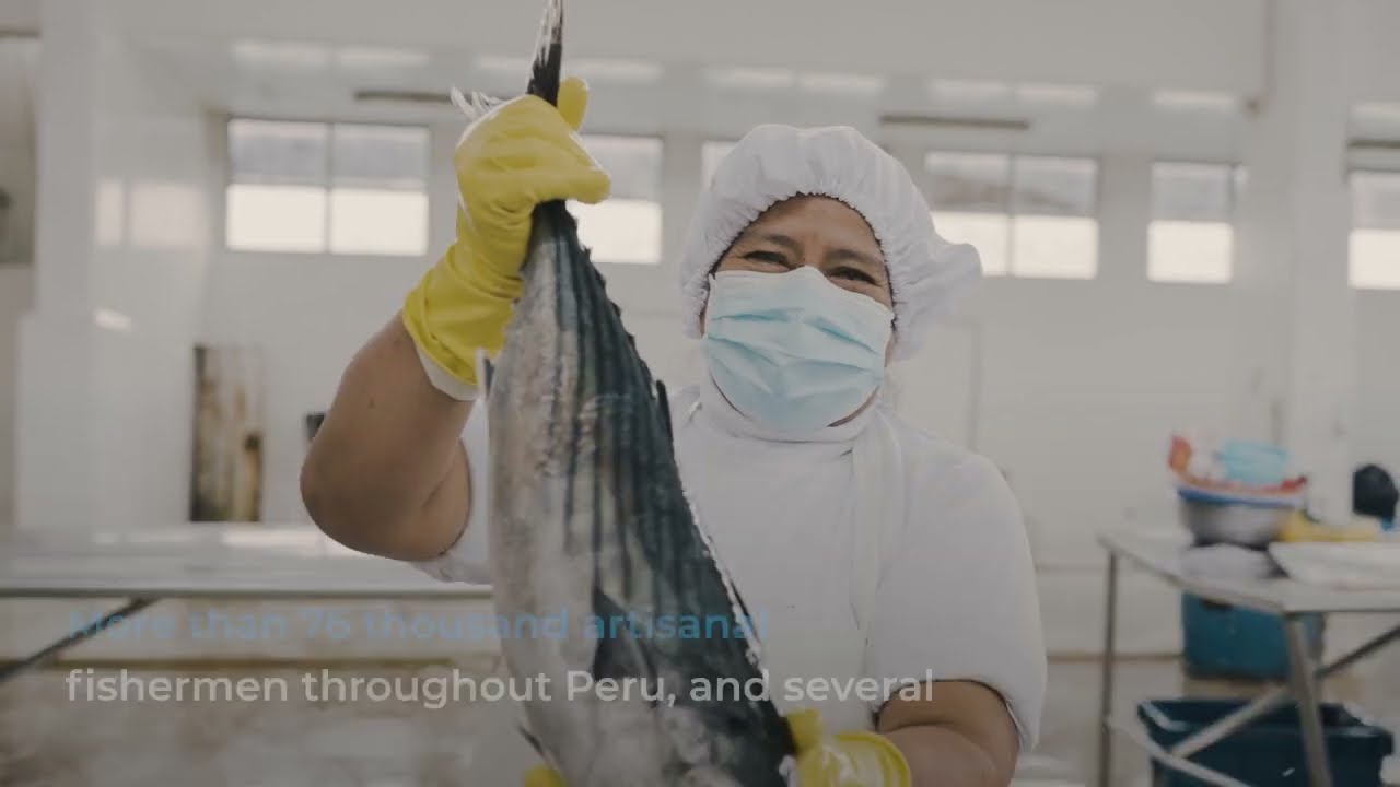 Artisanal fishing in Peru. International Year of Artisanal Fisheries and Aquaculture 2022