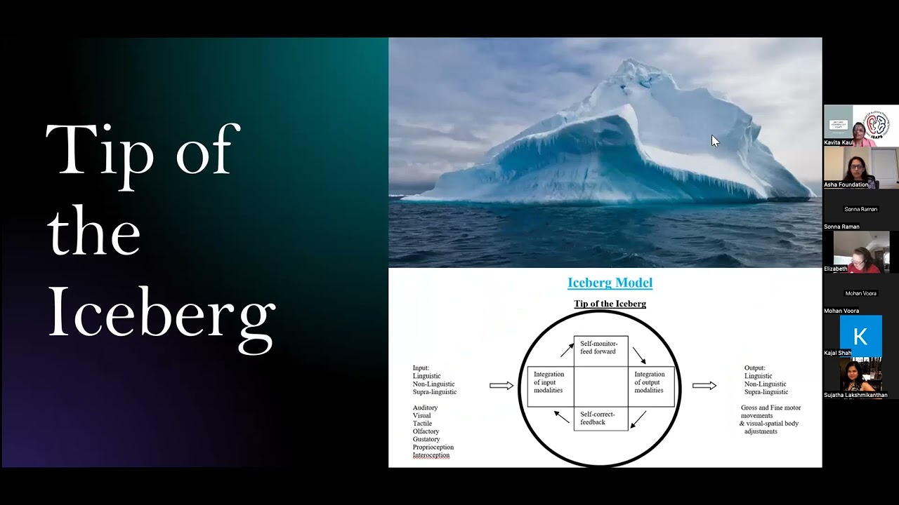 Asha Foundation - Auditory Processing Disorder Webinar by Dr. Kaul