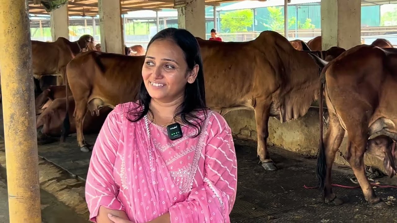 एक करोड़ 80 लाख का सालाना दूध । 90 गायों से 400 लीटर दूध प्रति दिन का।@indianAgrovet 