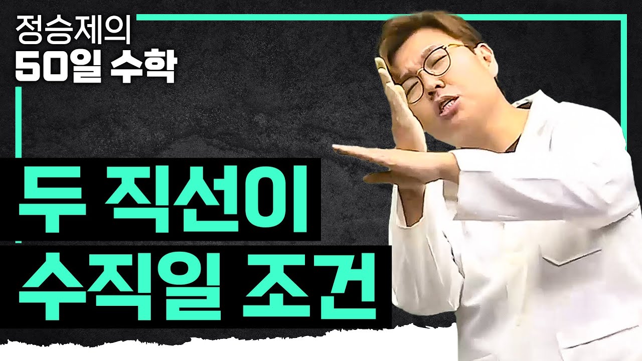 🌟🌟고 3때까지 계속 나옵니다🌟🌟두 직선이 수직일 조건 10분 정리💯 | 고1수학 | 수포자 | #정승제의50일수학