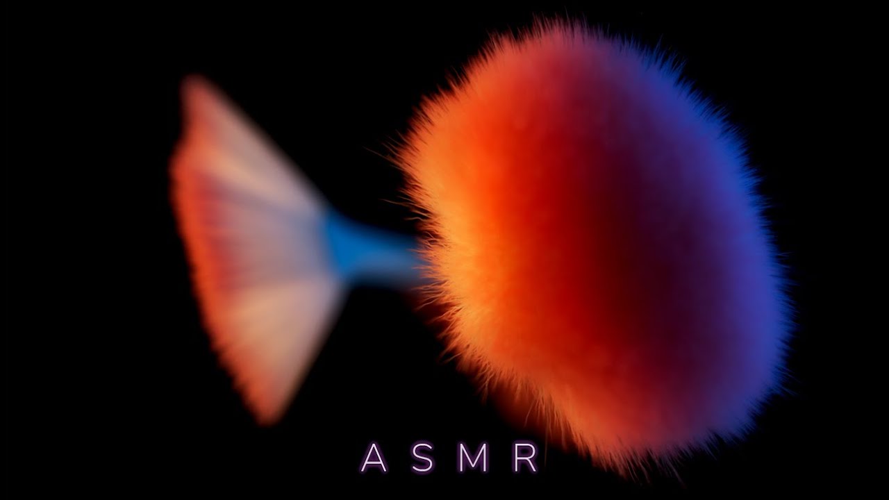 ASMR - Camera Brushing Compilation For Relaxation & Sleep 😴1 HOUR 😴 New & Old Content (No Talking)