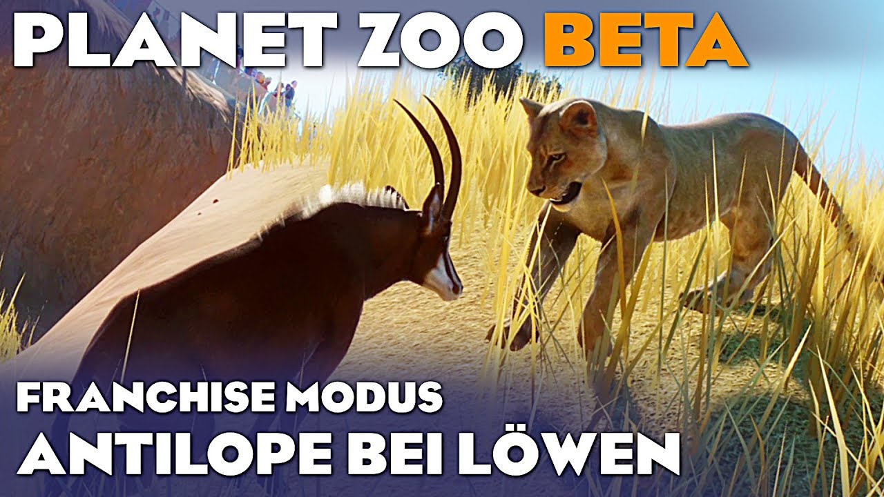 PLANET ZOO BETA LÖWEN & ANTILOPE 4K Planet Zoo Deutsch German Gameplay #21