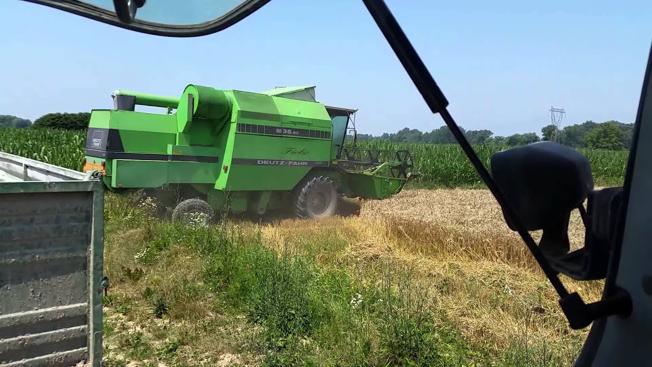 Žetva pšenice deutz fahr m35.80