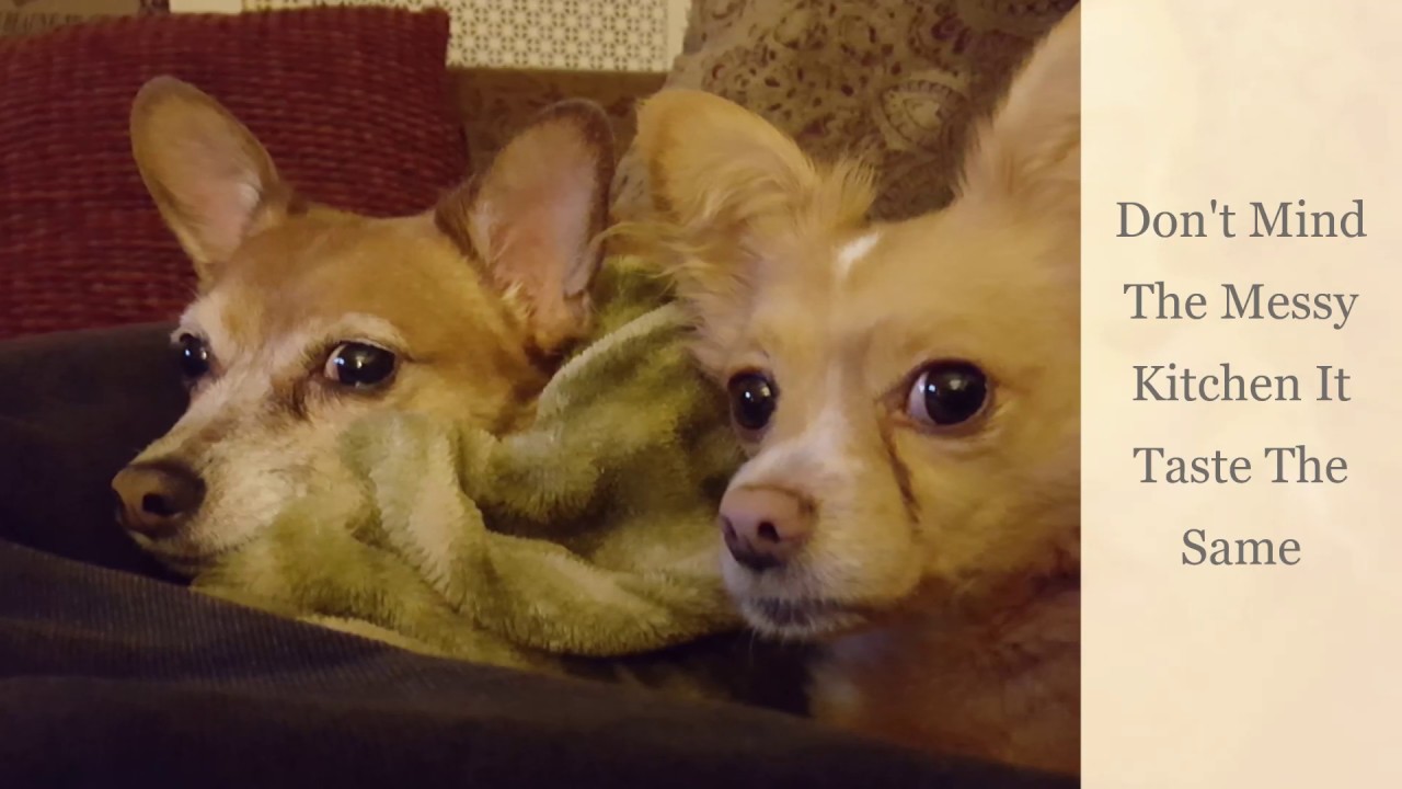 Cast Iron Slider Burgers