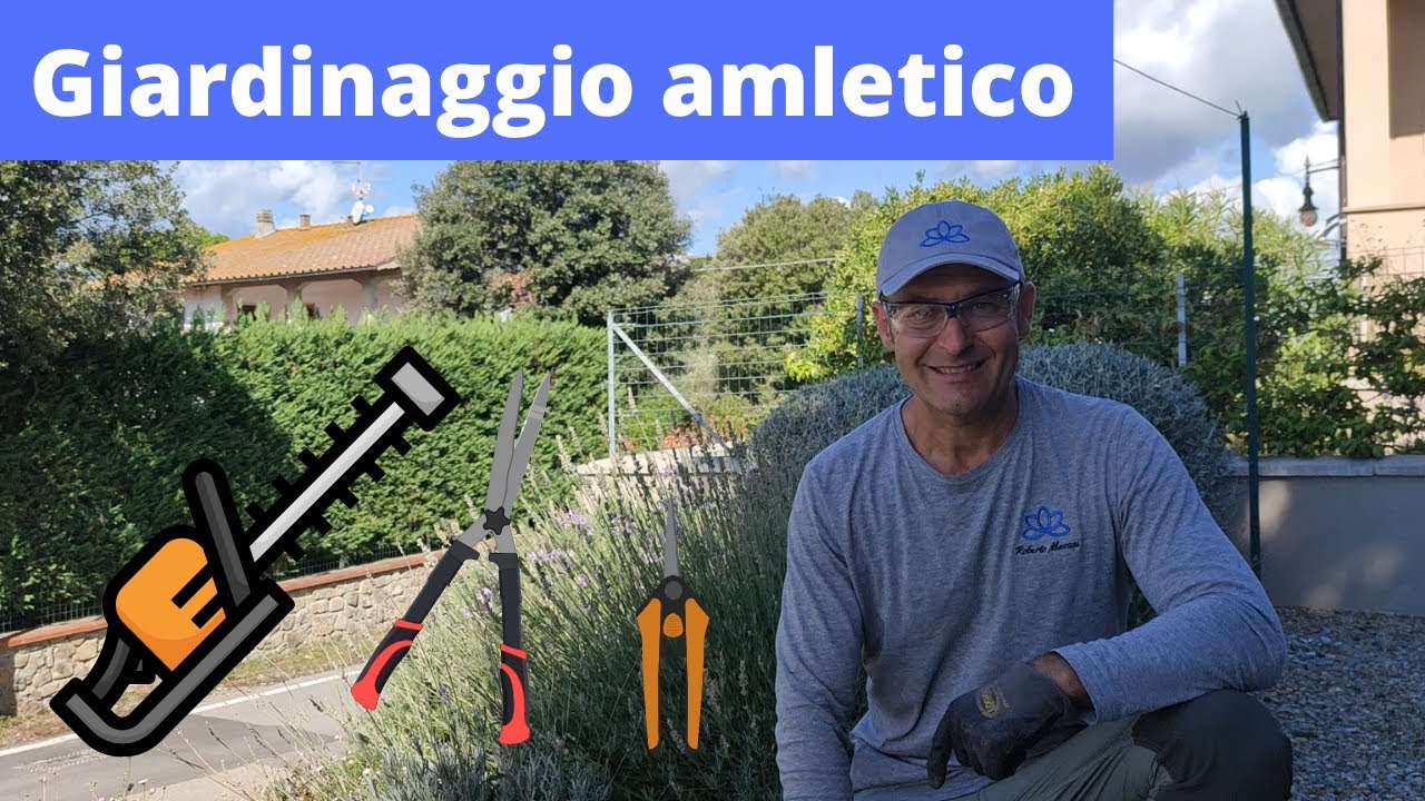 Sveliamo i Segreti della Potatura: Forbici vs. Forbicioni vs. Tosa Siepi