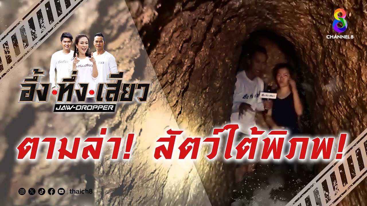 ตามล่า! สัตว์ใต้พิภพ! | อึ้ง ทึ่ง เสียว