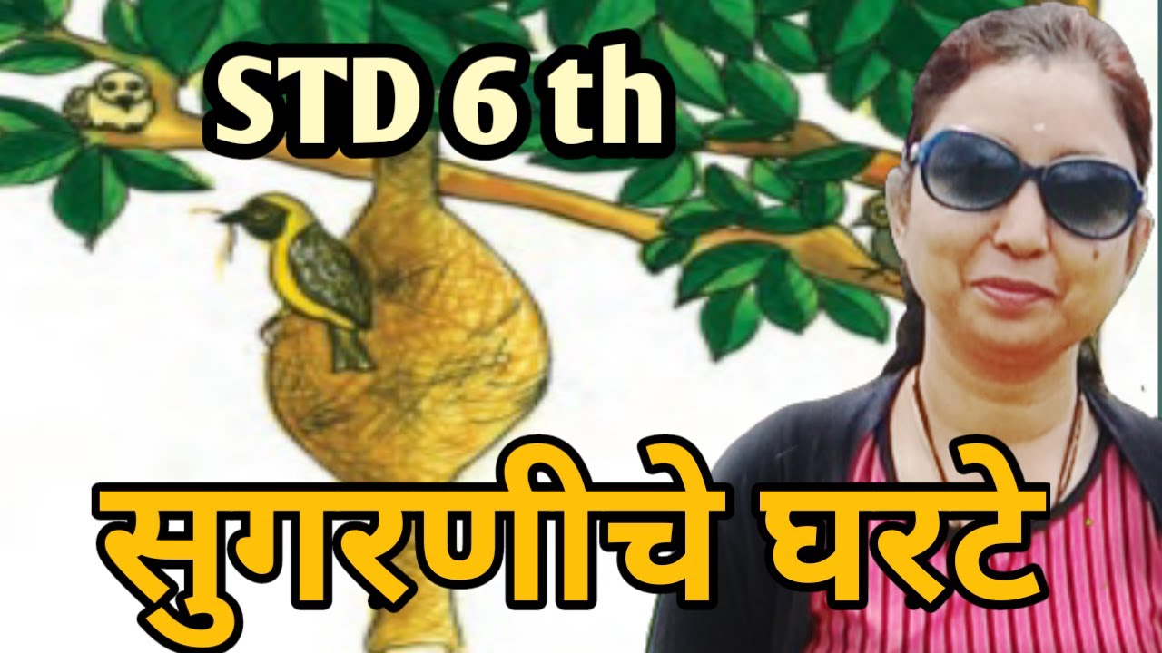 Std 6th Marathi Lesson 'Sugaraniche Gharte' With Question Ans ( English Medium )