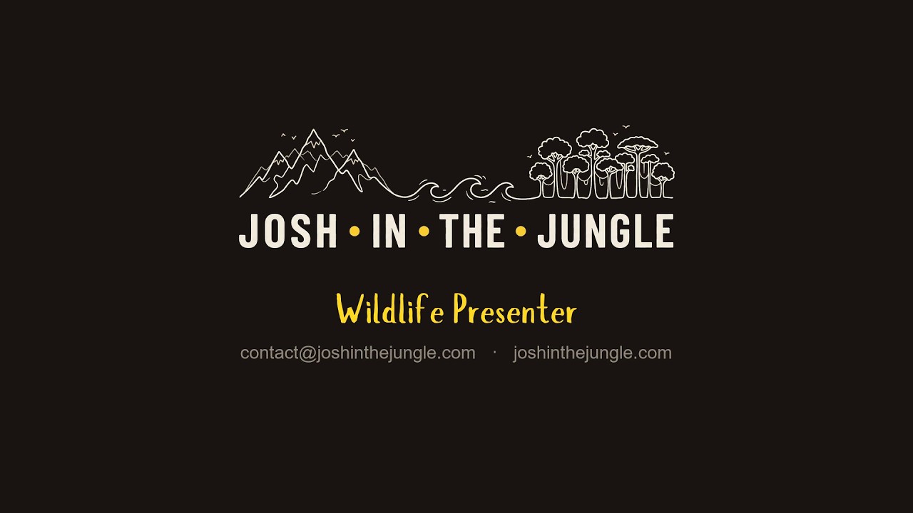Wildlife Presenter Showreel 2026 | Josh in the Jungle
