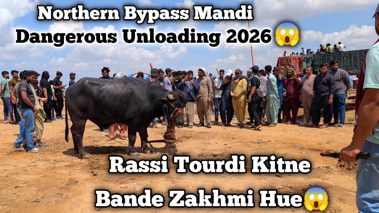 First Truck Unloading 2026 😍 | Worst Unloading At Northern Bypass Mandi 😱 | Pada Out off Control 😱