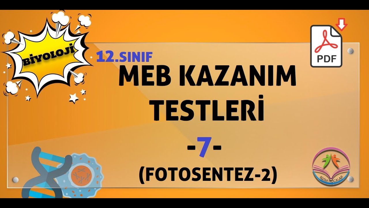 Biyoloji MEB kazanım kavrama testleri 12.sınıf -7 (FOTOSENTEZ -2)