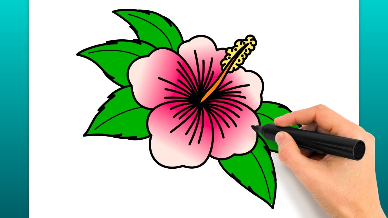 Como Desenhar Uma Flor De Hibisco (Tutorial De Desenho Fácil)