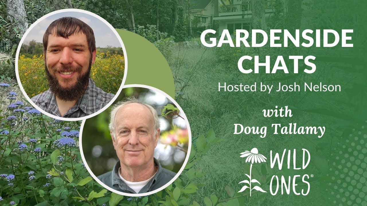 Gardenside Chat: Doug Tallamy From HomegrownNationalPark.org