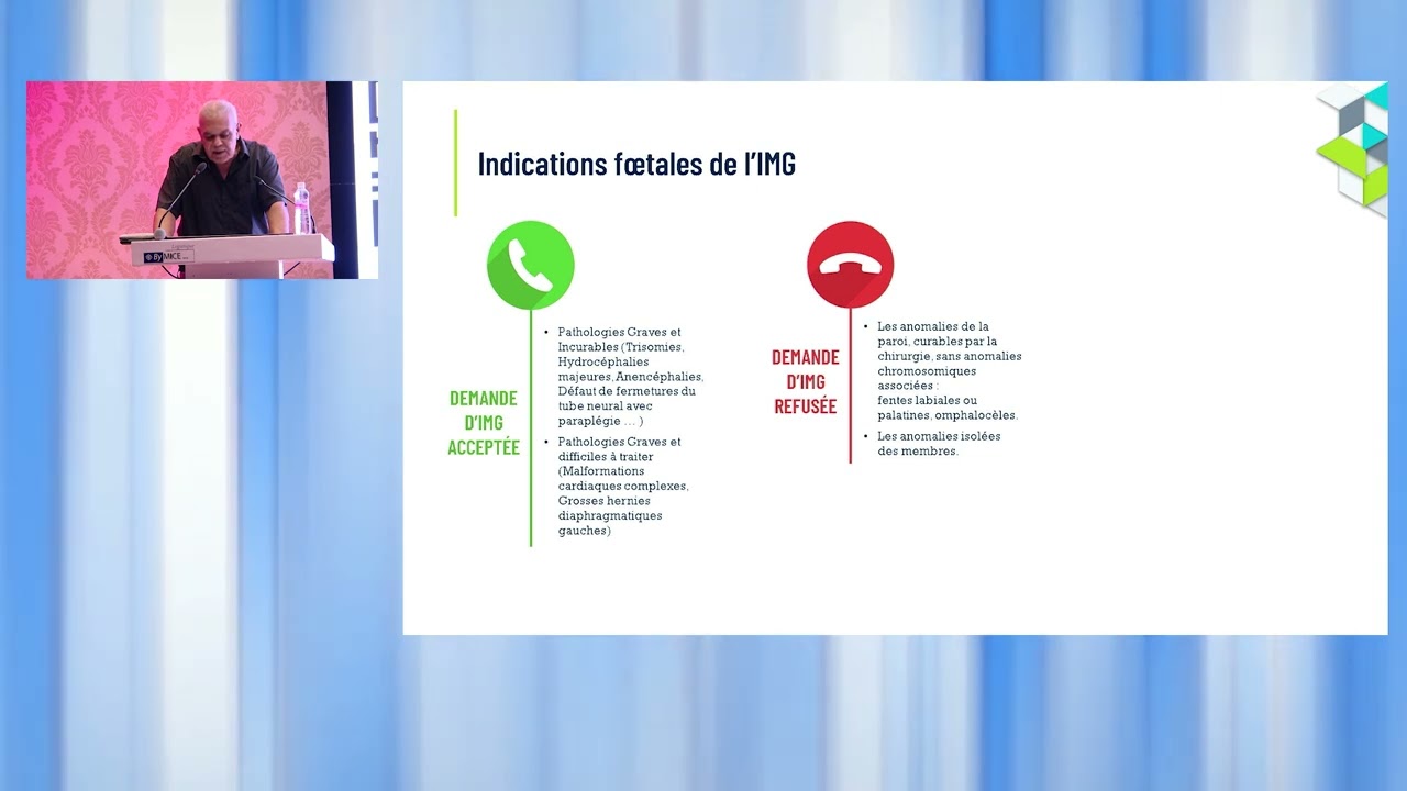 Les Journées d'échographie Septembre 2024:Les IMG d indications litigieuses:Synthèse. Dr N.Ben Zineb
