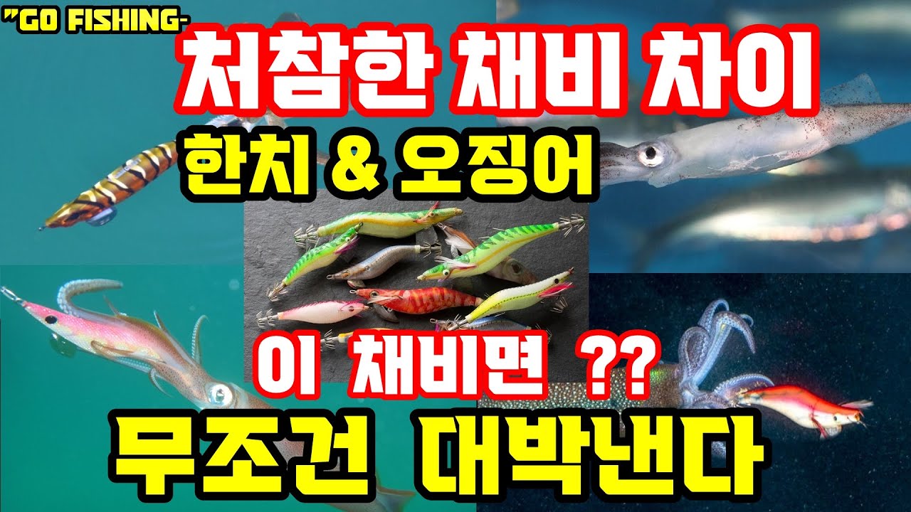 #고피싱 10편 - #한치낚시 (2부) 3개 채비가 한개의 채비 한데 완패하는 영상, 그냥 보기만 해도 확실히 