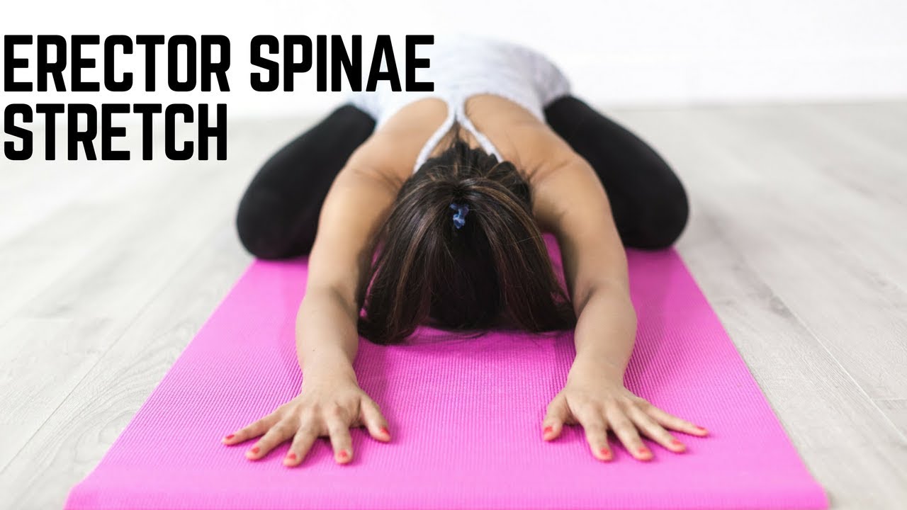 Erector Spinae Stretches for Effective Lower Back Pain Relief