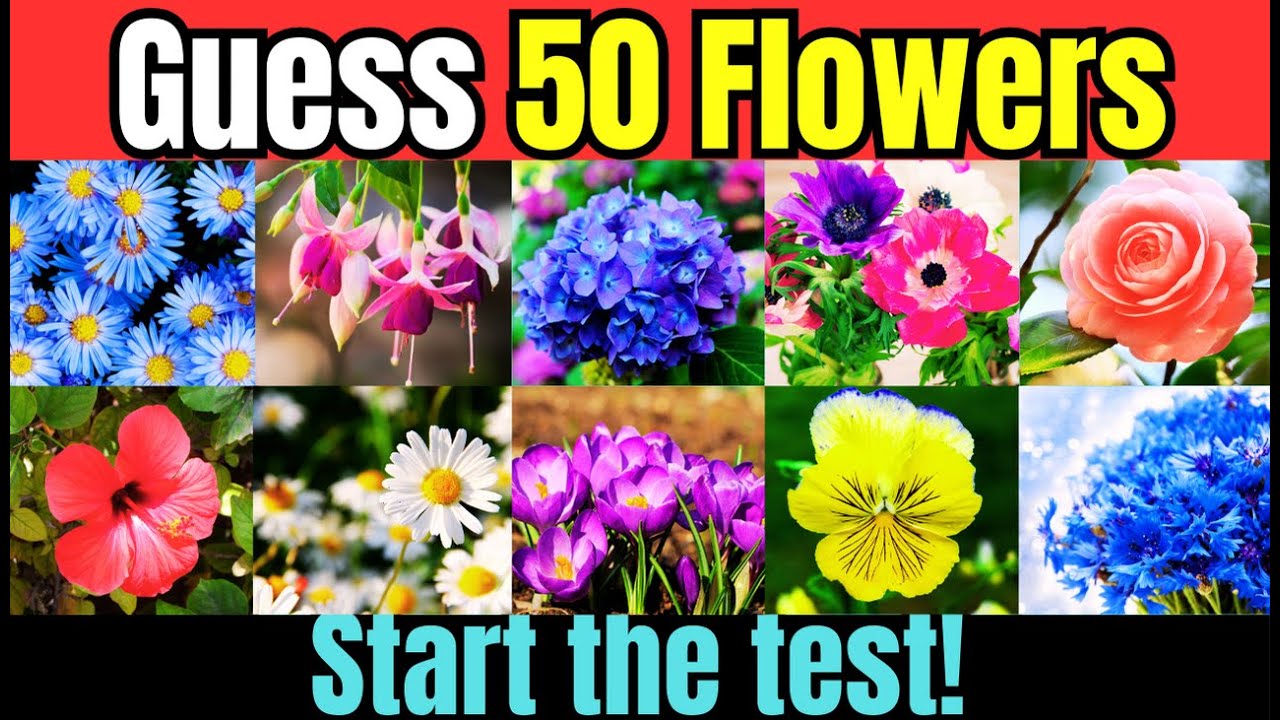 Can You Find All 50 Flowers? 🌸🌼   Ultimate Flower Quiz!  / Test Your Flower Knowledge