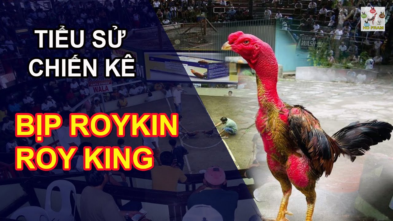 TIỂU SỬ  BỊP ROYKJN - THẦN KÊ BẤT BẠI 