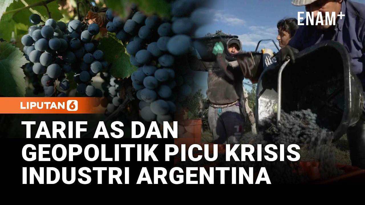 Geopolitik dan Kurs AS Tekan Industri Wine Argentina, 1 000  Kebun Anggur Tutup | Liputan6