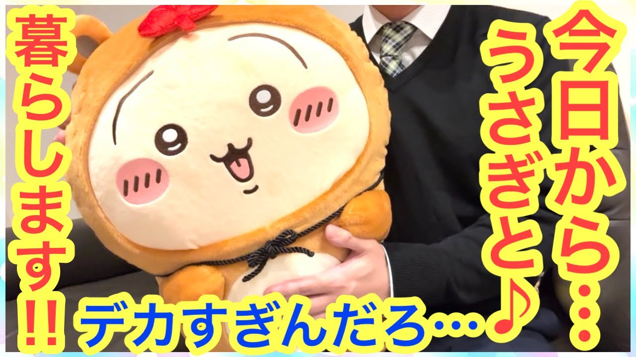 【ちいかわ】ちいかわたぬきだもんくじ２５連！ついに届く！！A賞超BIGうさぎさんが家に来たよ＾＾