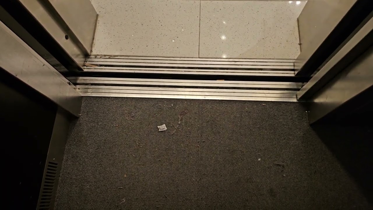 Z Flip 5: ThyssenKrupp Impulse Hydraulic Elevator | Borders/XXI Forever | Alderwood | Lynnwood WA