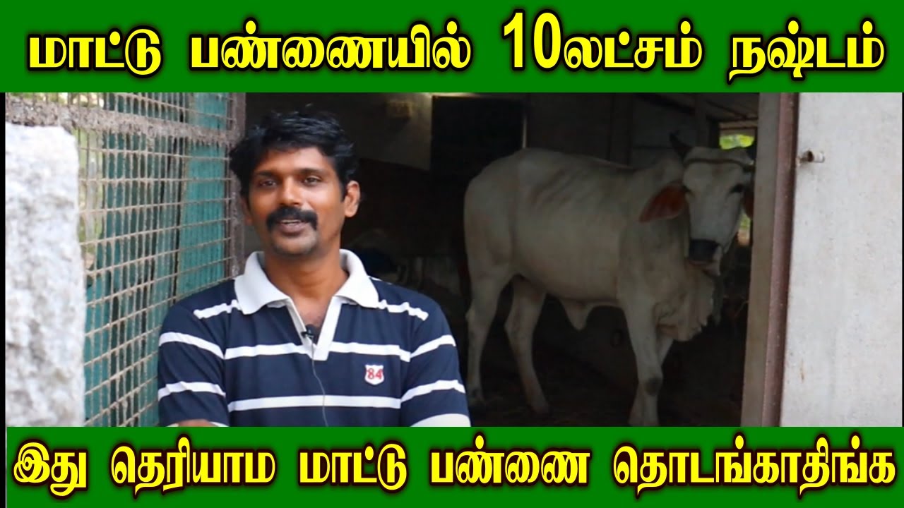 மாட்டு பண்ணையில் 10லட்சம் நஷ்டம் | உன்மை நிலவரம் என்ன?  | இது தெரியாம மாட்டு பண்ணை தொடங்காதிங்க