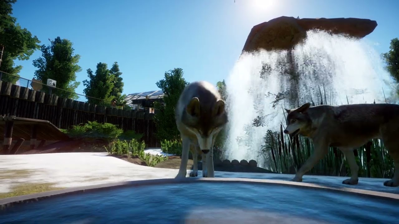 Timber Wolf | Planet Zoo Animals
