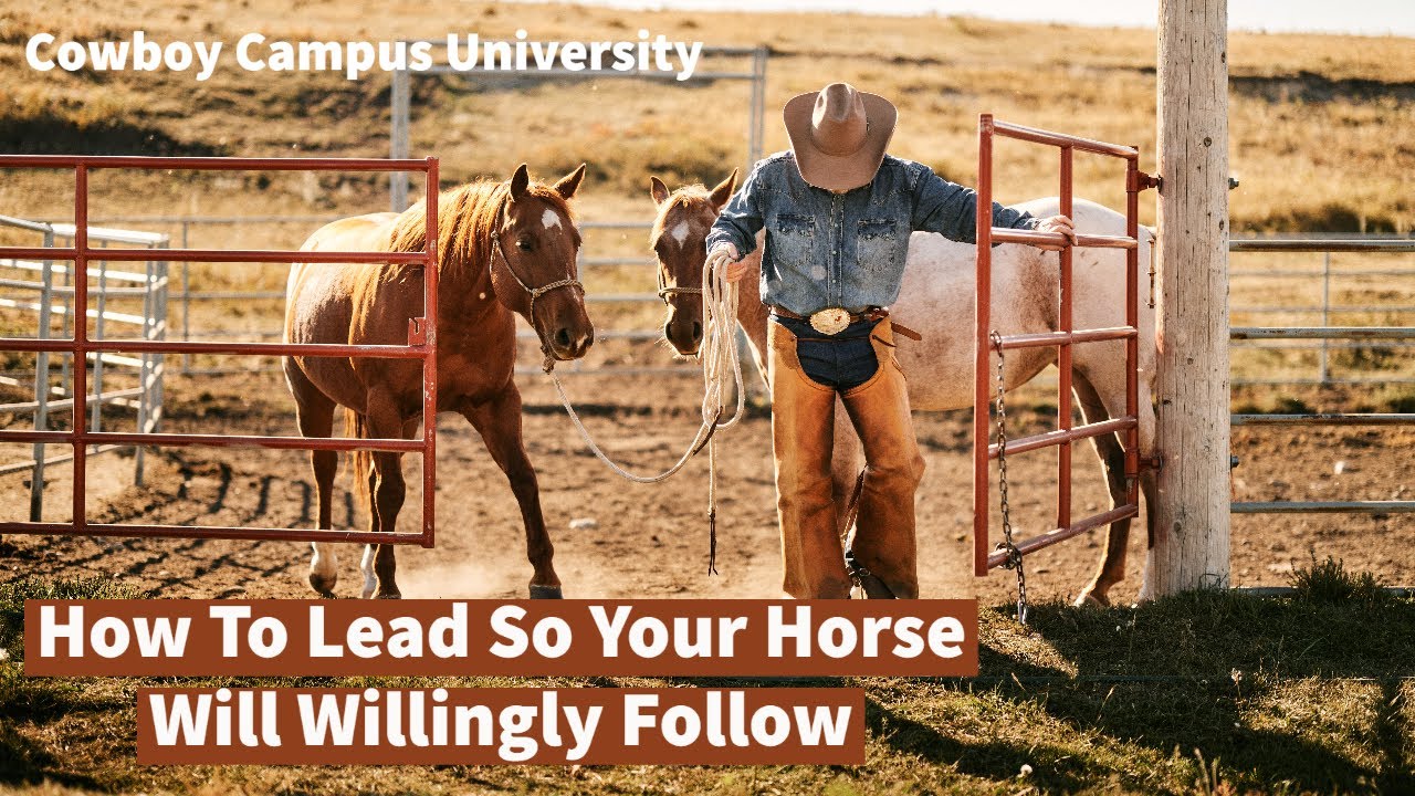 How To Lead So Your Horse Will Willingly Follow