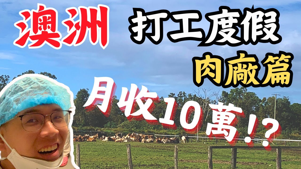 🇦🇺澳洲打工肉廠薪資公開！月收穩定十萬？肉廠各職位介紹｜澳洲肉廠｜薪資收入｜打工度假