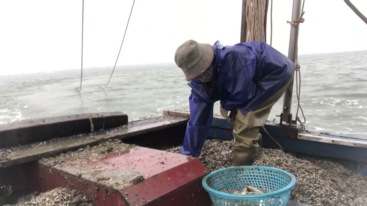 Ra khơi kiếm cơm, vợ chồng em đi kiếm gạo / Hoàng Dân Biển 