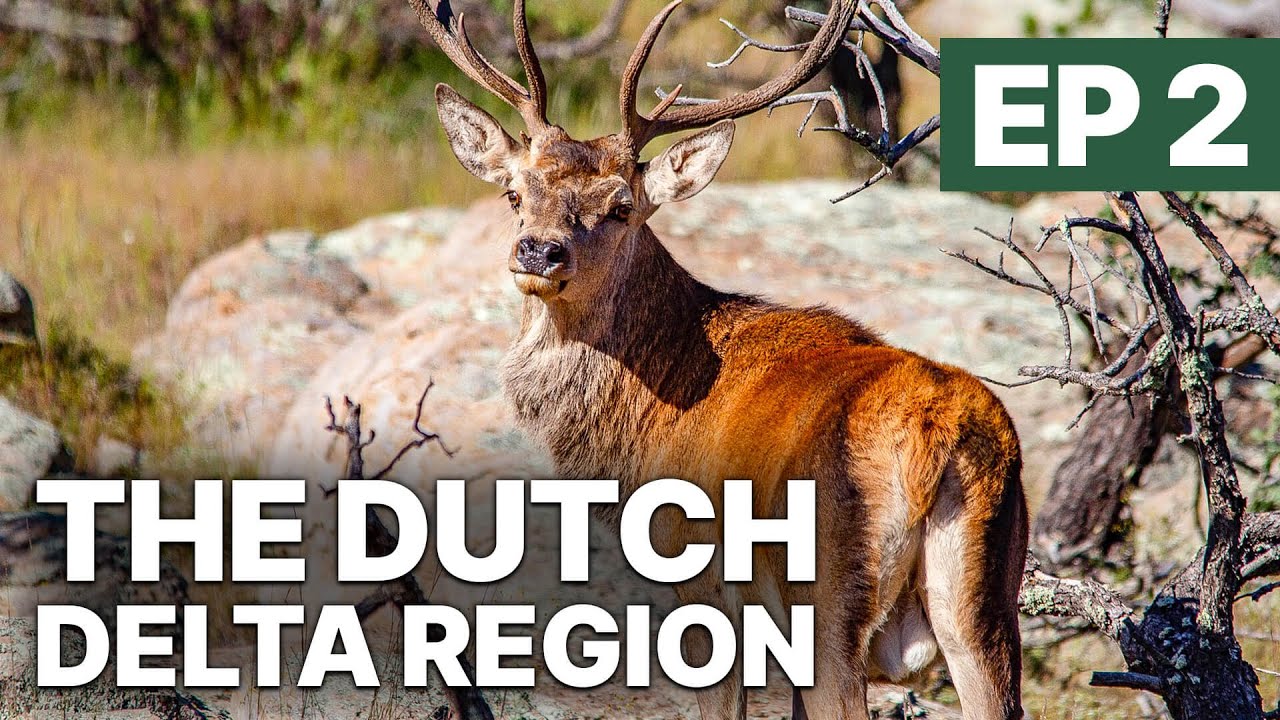 The Dutch Delta Region - EP 2 | Full Documentary