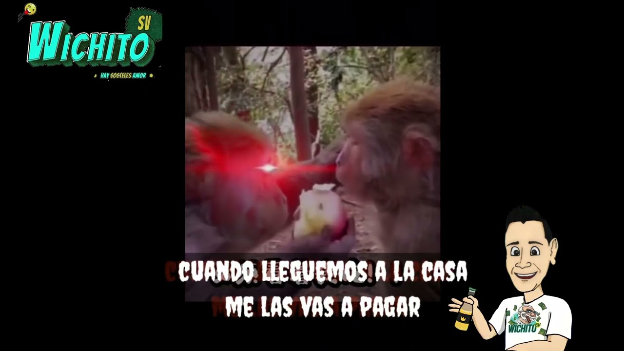 NUEVO DOBLAJE DE ANIMALES, SUSCRIBITE CHELE