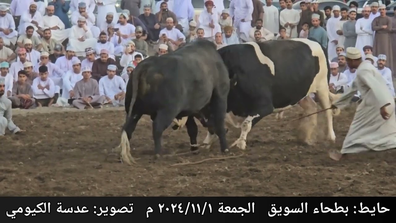 الزاهي و أبو دينار ... حايط بطحاء السويق ١٨