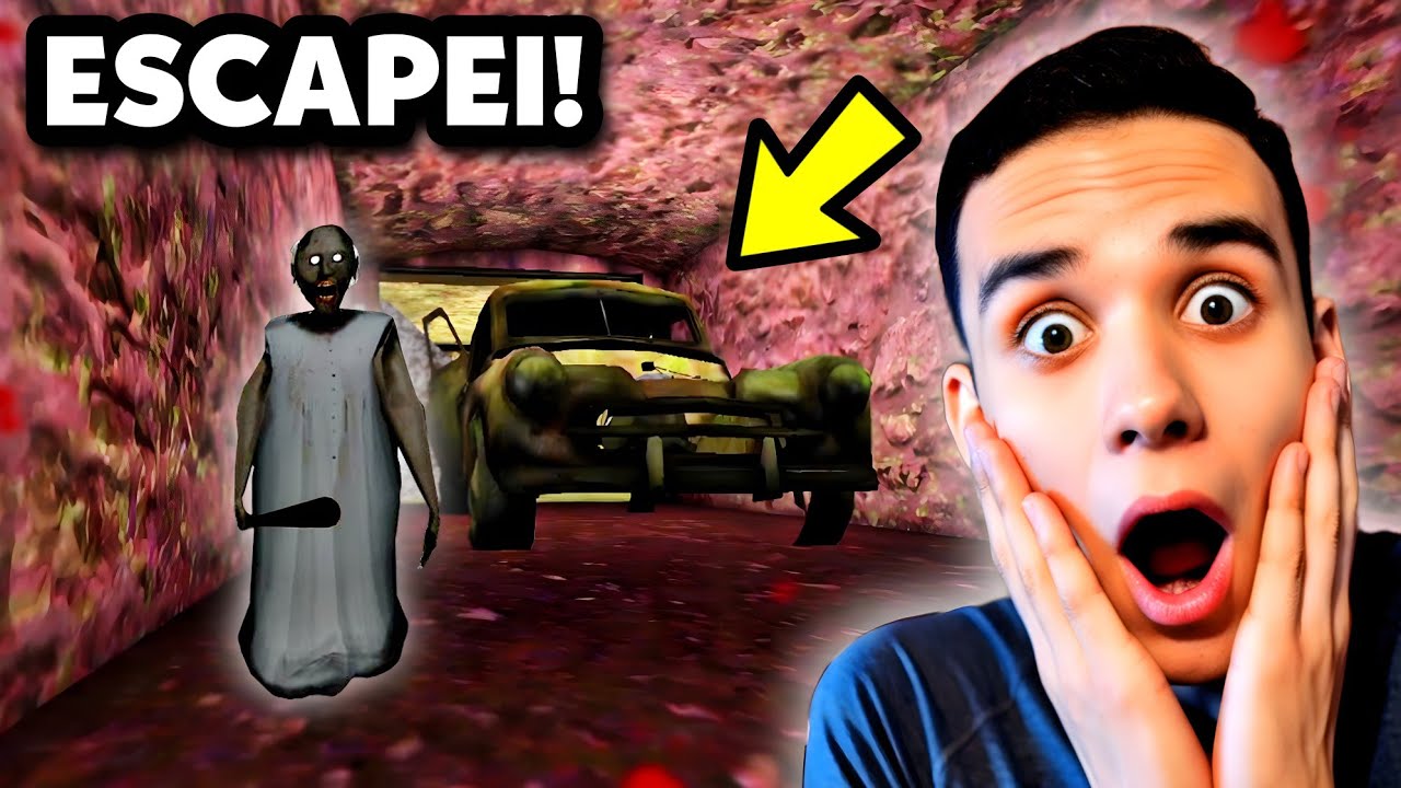 MATEI OS PETS E FUGI DE CARRO DA GRANNY 😱🔥🔥