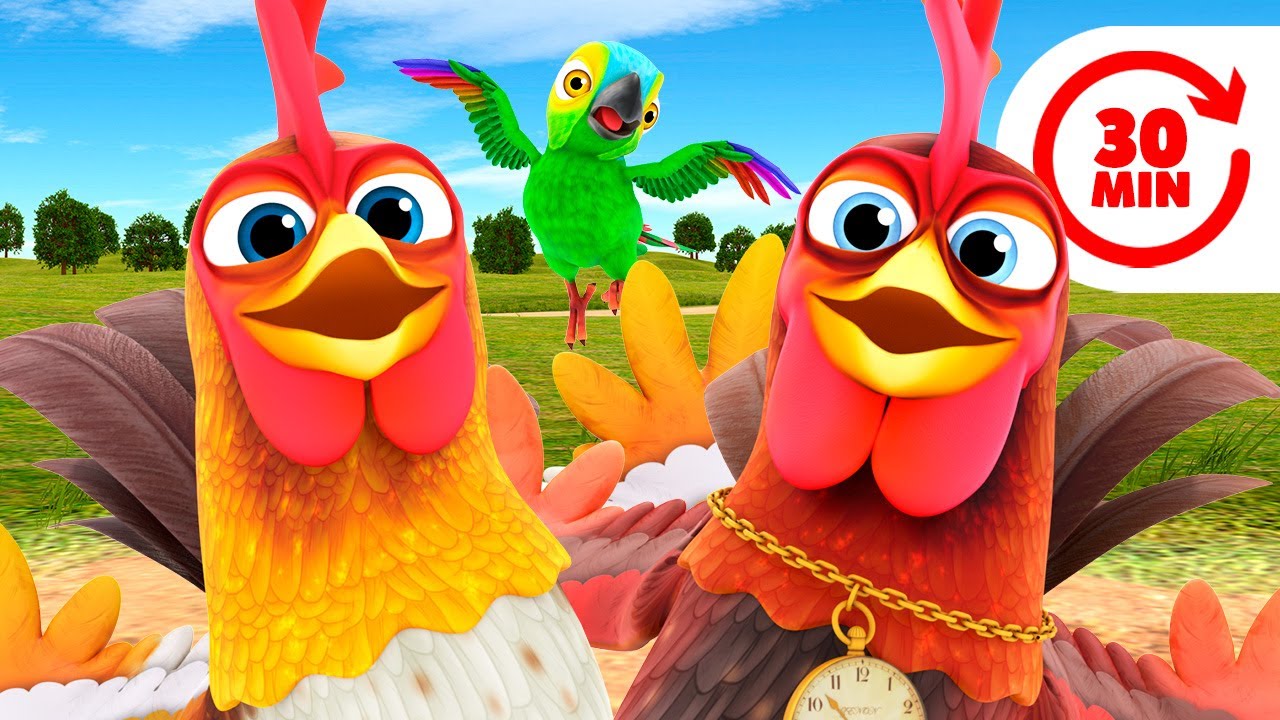 🐓 GALLO GALLO GALLO SOY 🐔👨🏻‍🌾 LA GRANJA DE ZENÓN 👨🏻‍🌾 MIX 🎵 ESTRENO🌈 PARA NIÑOS