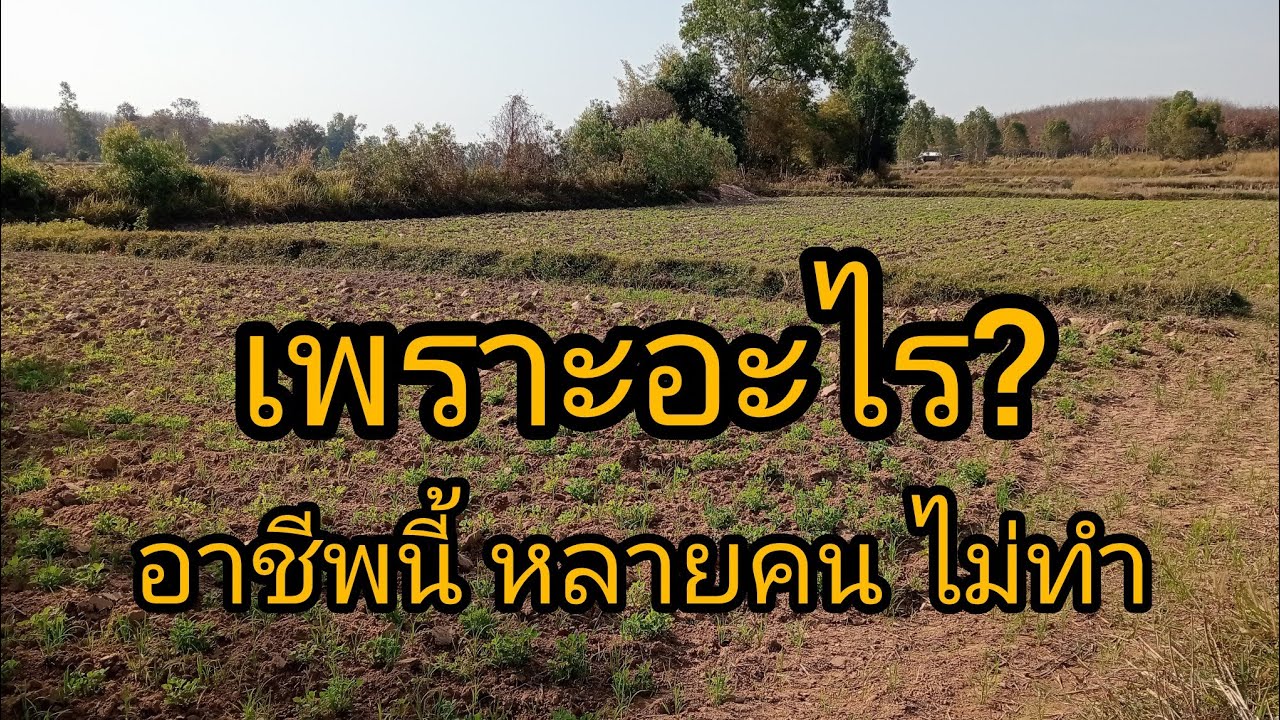 อาชีพนี้ ทำไมคนเลิกทำเยอะ!!