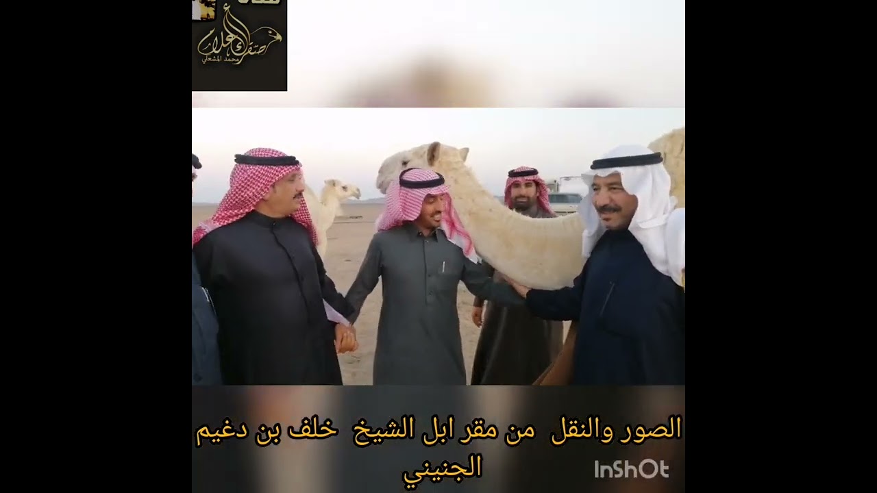 الصور والنقل من مقر ابل /الشيخ خلف بن دغيم الجنيني القلادي