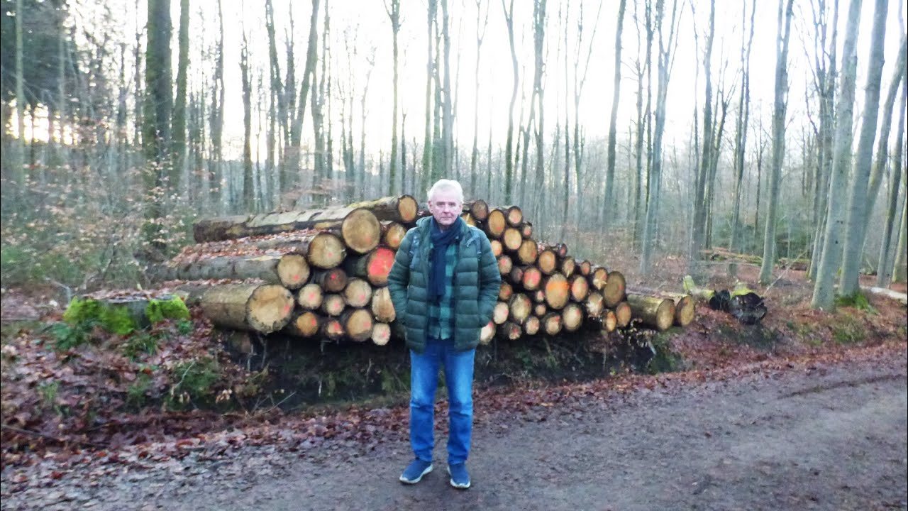 Aachener Wald: Die Pionierquelle